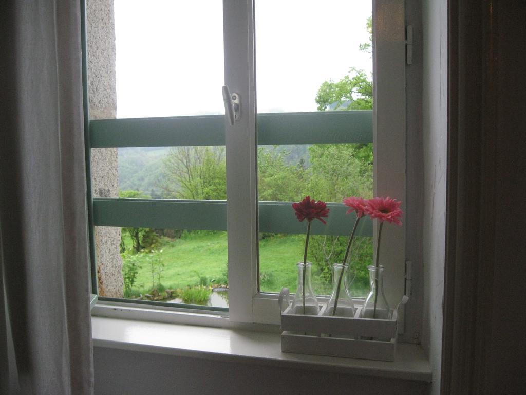 Chambres D'Hotes Le Besset Thiers Rum bild